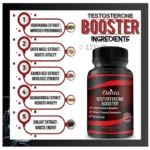 HoneyB2B | Men’s Performance Support Capsules – Strength, Vitality & Drive (Retail Pack) - Image 4